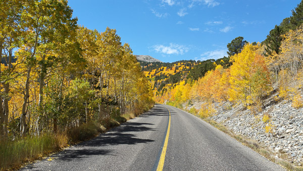 Driving into the Great Basin National Park and finally finding some color at the upper elevations